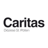 03Caritas_StPoelten_Logo_SW.png